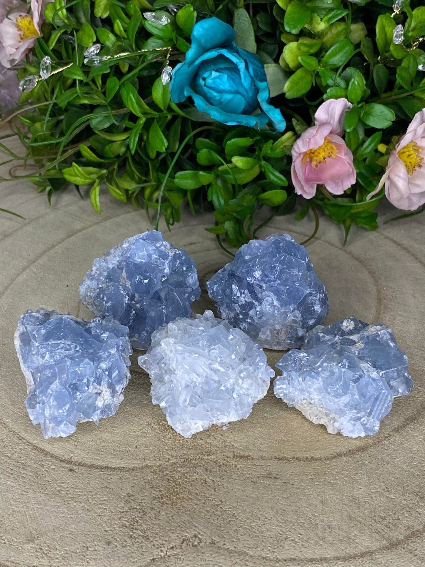 Celestite Clusters