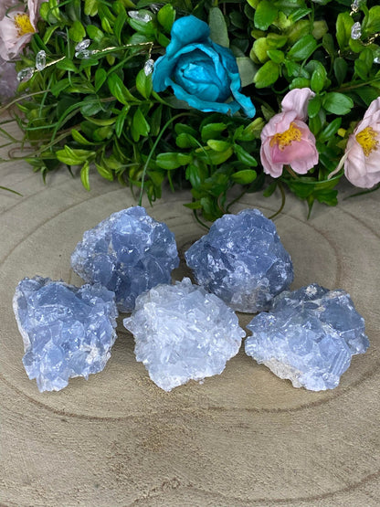 Celestite Clusters
