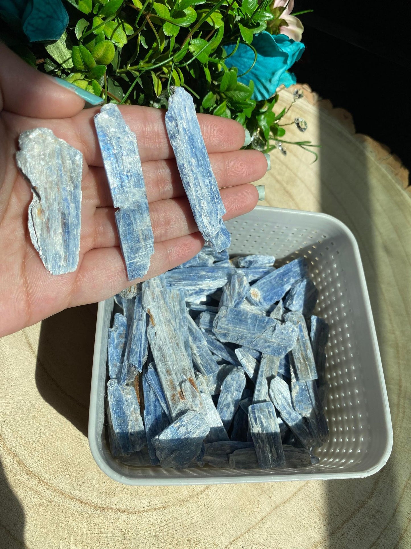 Blue Kyanite Blades