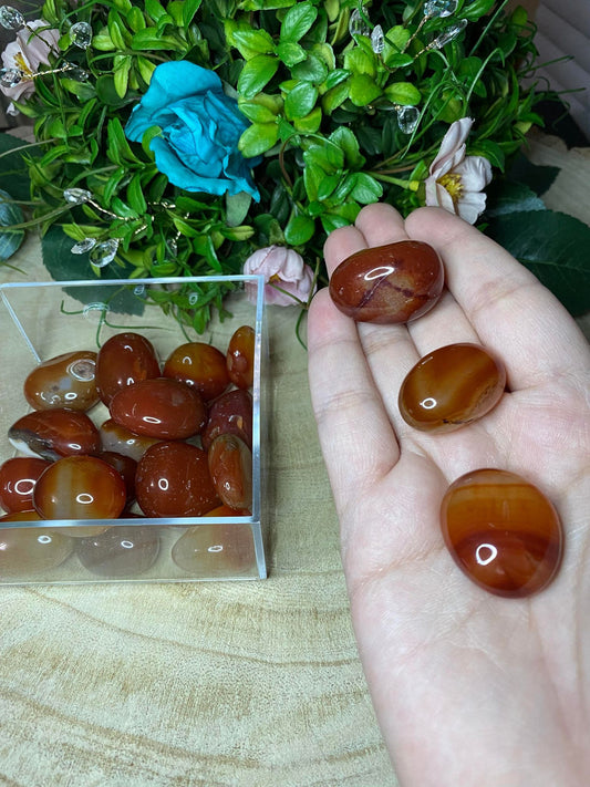 Carnelian Tumbles