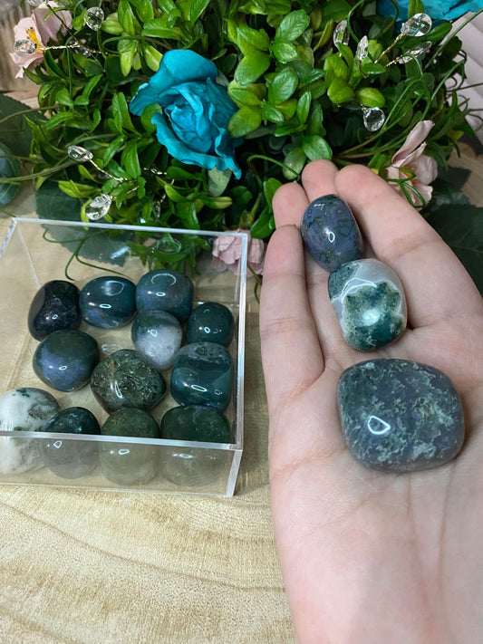 Moss Agate Tumbles