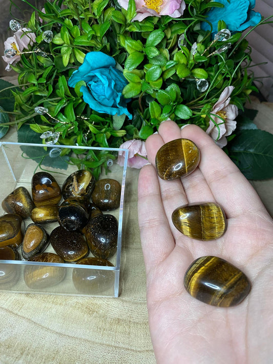 Tiger's Eye Tumbles