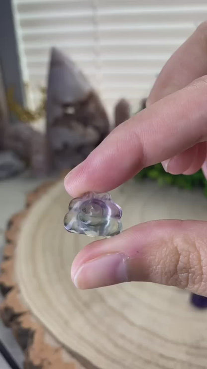 Mystery Mini Fluorite Carving