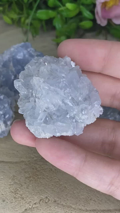 Celestite Clusters