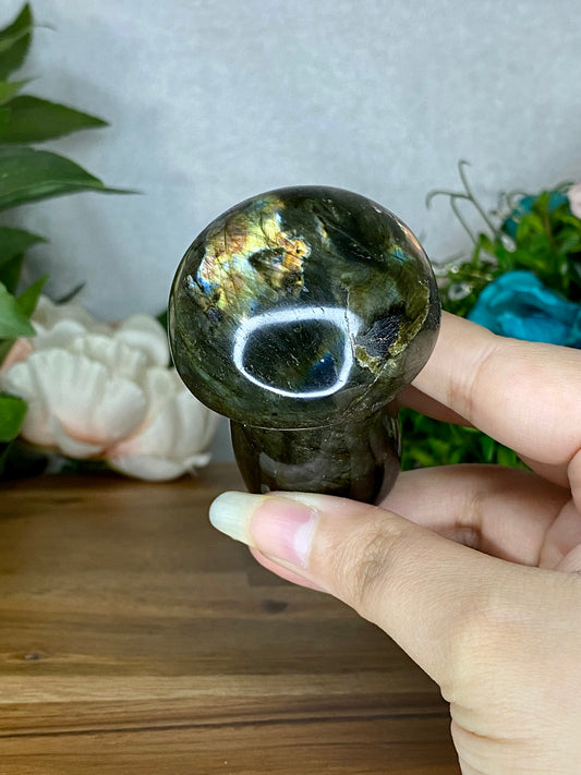 Labradorite Mushroom