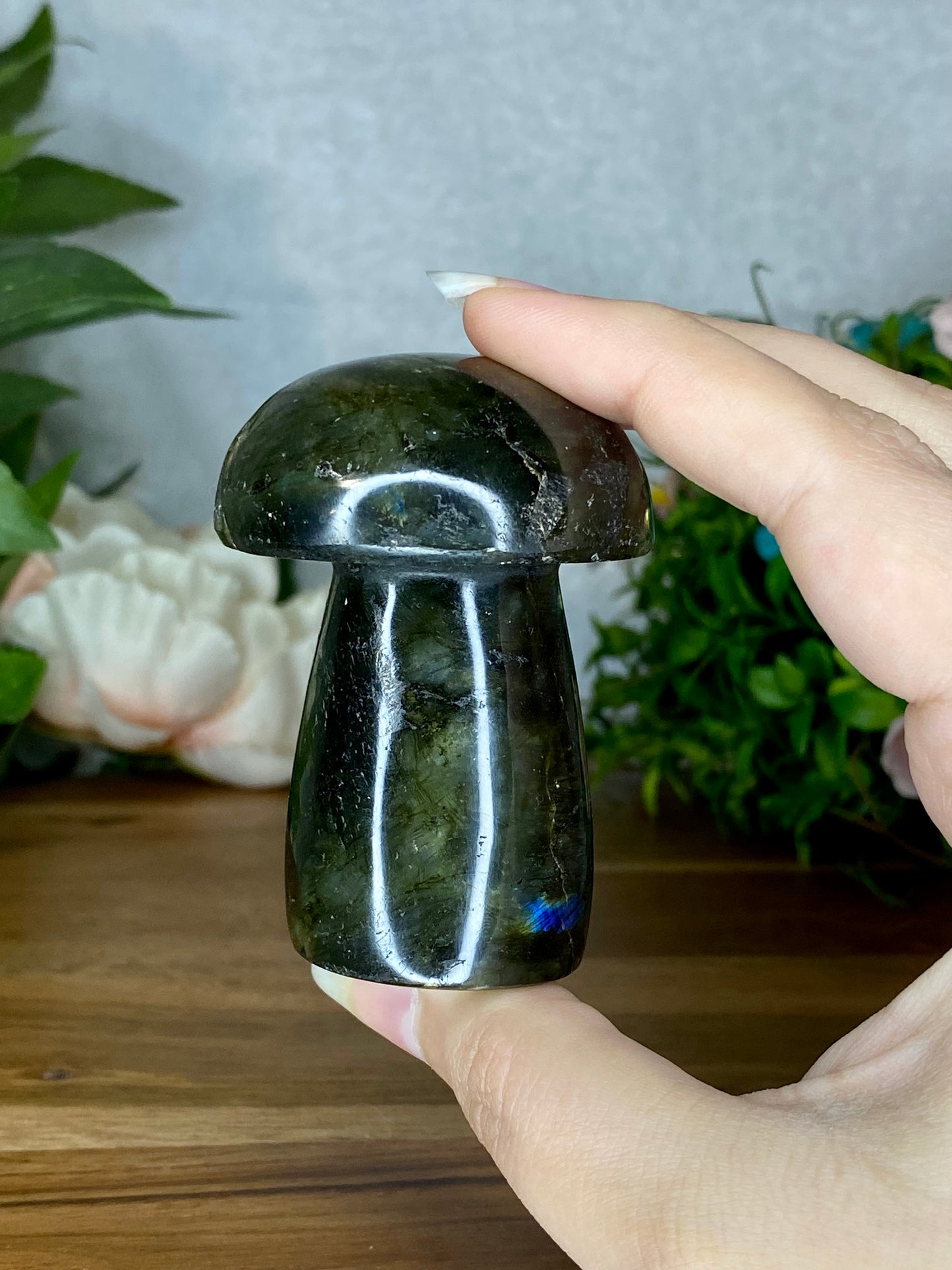 Labradorite Mushroom